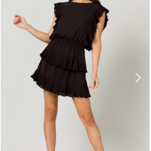 TCEC Black Ruffle Mini Dress - Picture 4 of 12